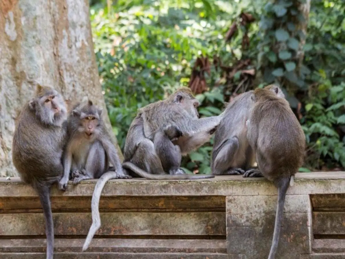 Bali & Gili Highlight, Private Tour