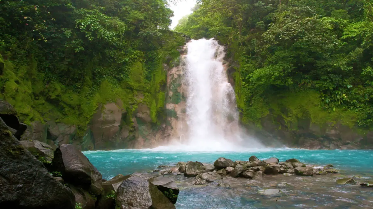 Costa Rica Exótica