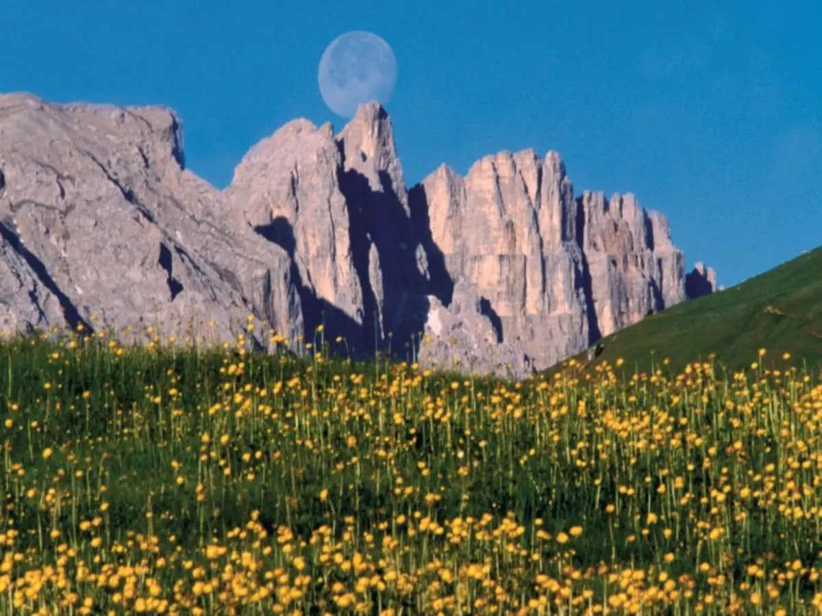 Die Dolomiten und Prosecco, Selbstfahrer