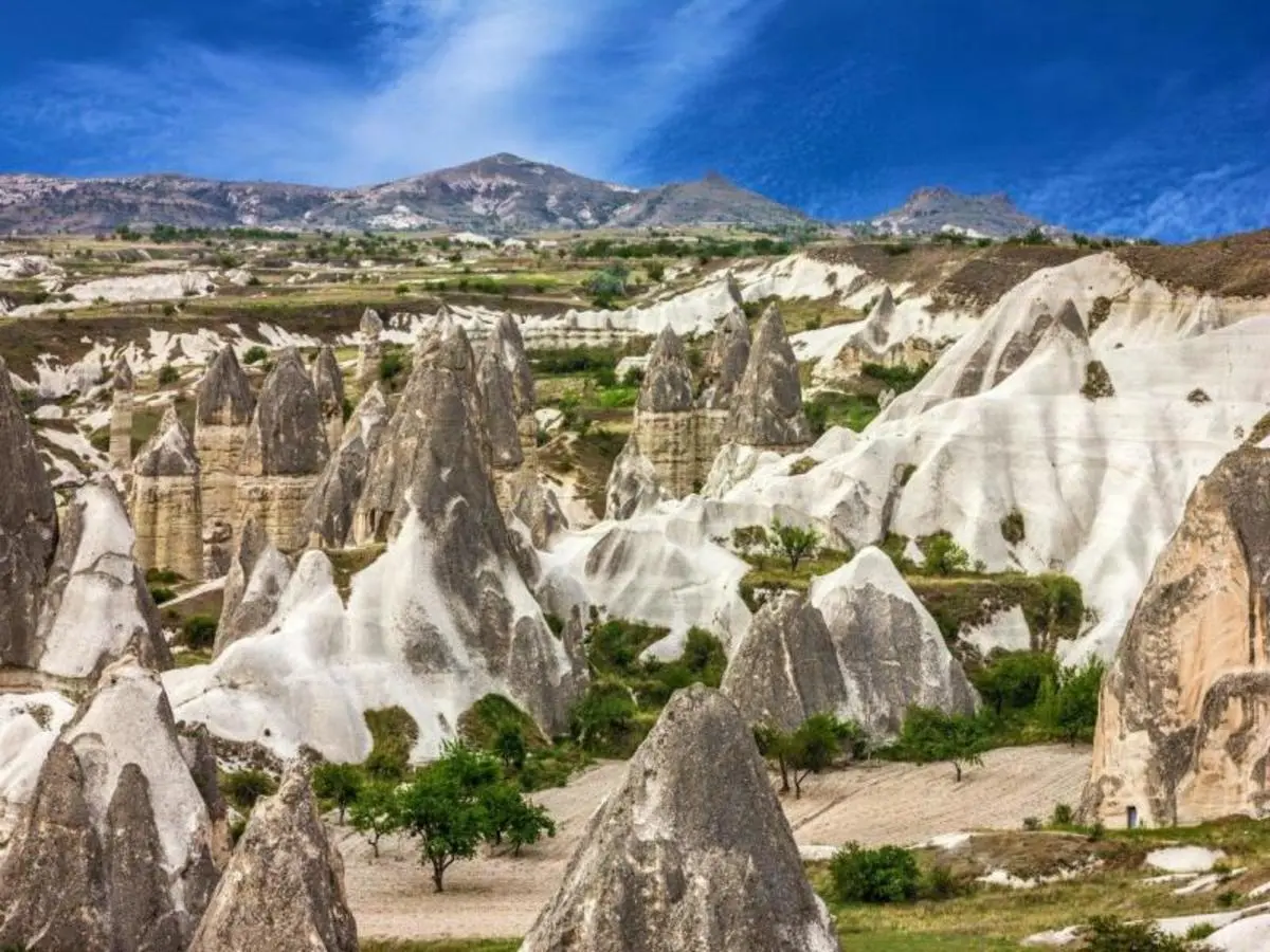 Special Turkey with Cappadocia