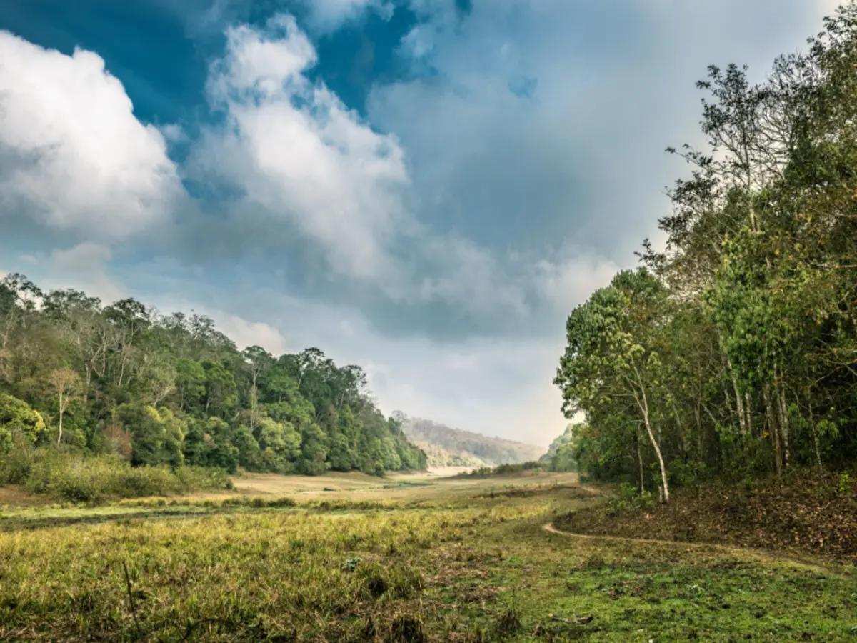 Kerala South India