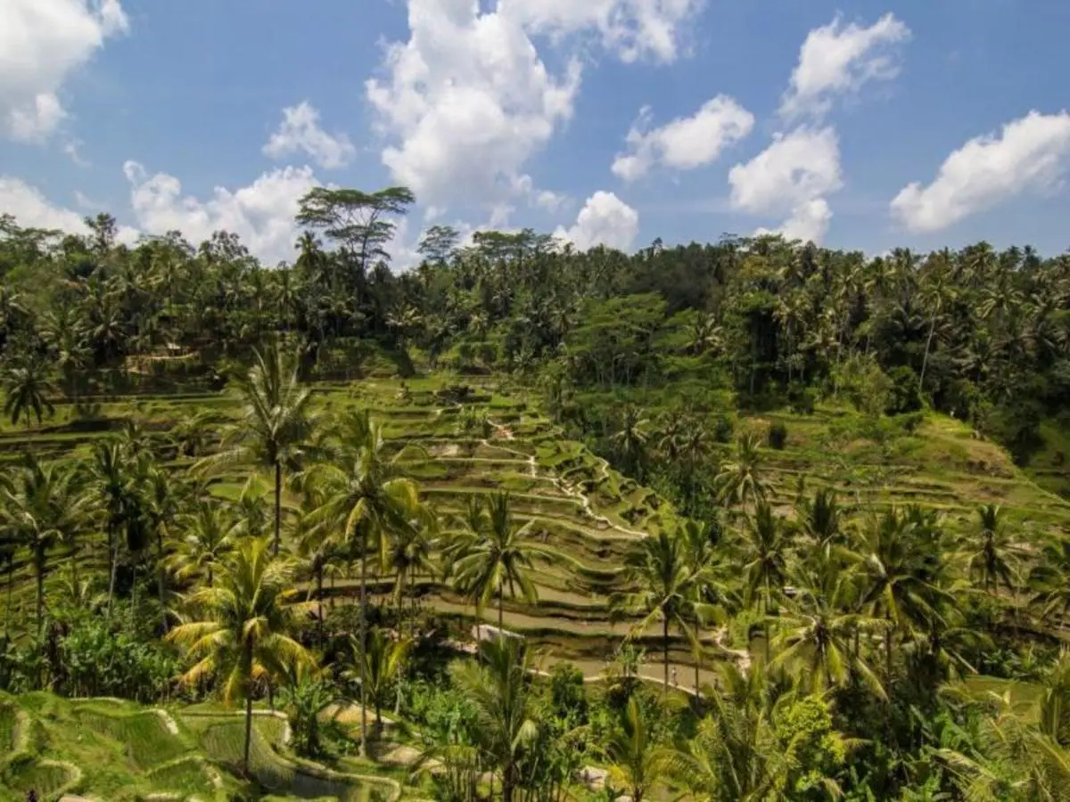 Bali Soft Adventure, Private Tour
