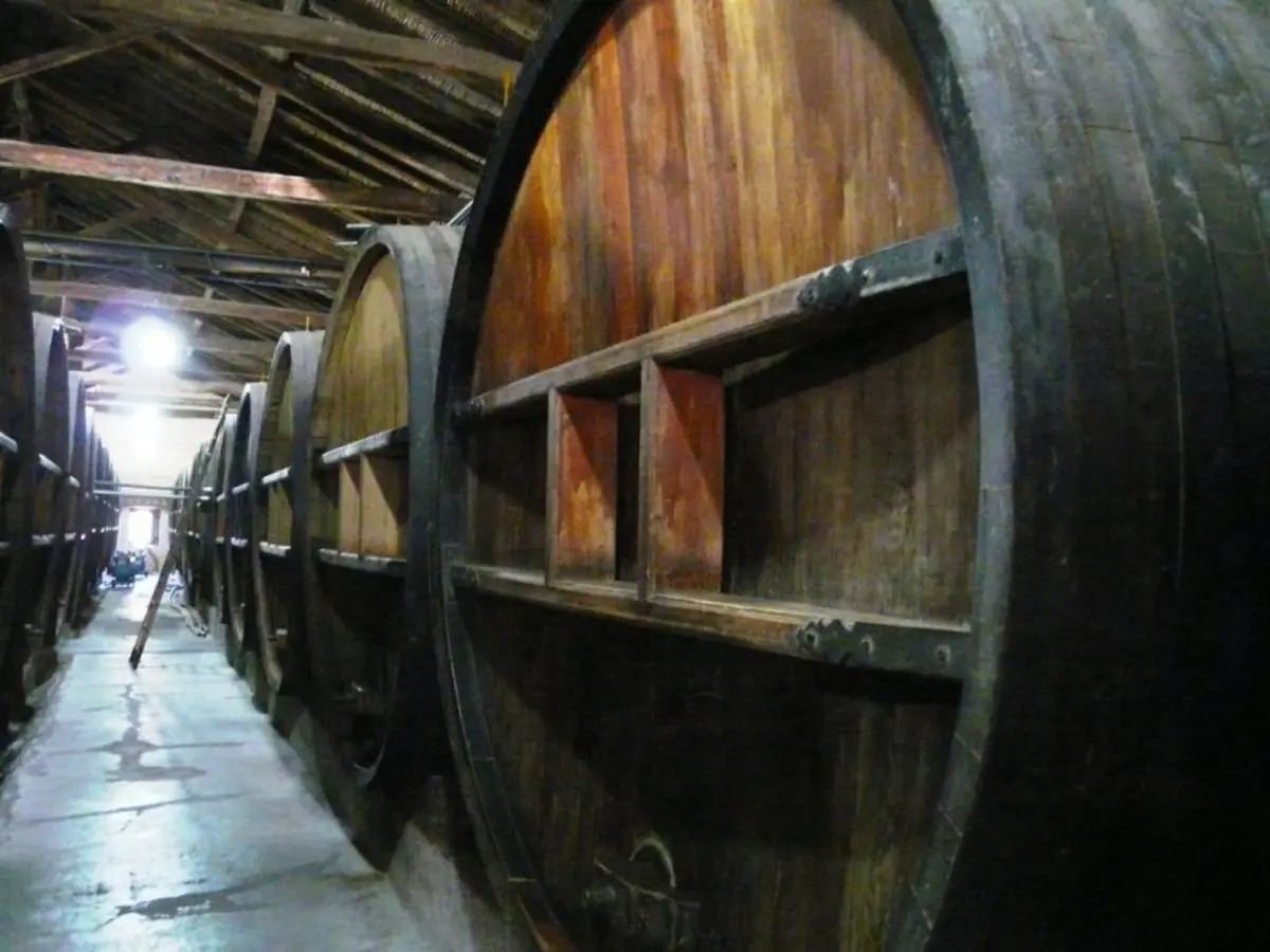 4-Day Mendoza Wine Region Experience