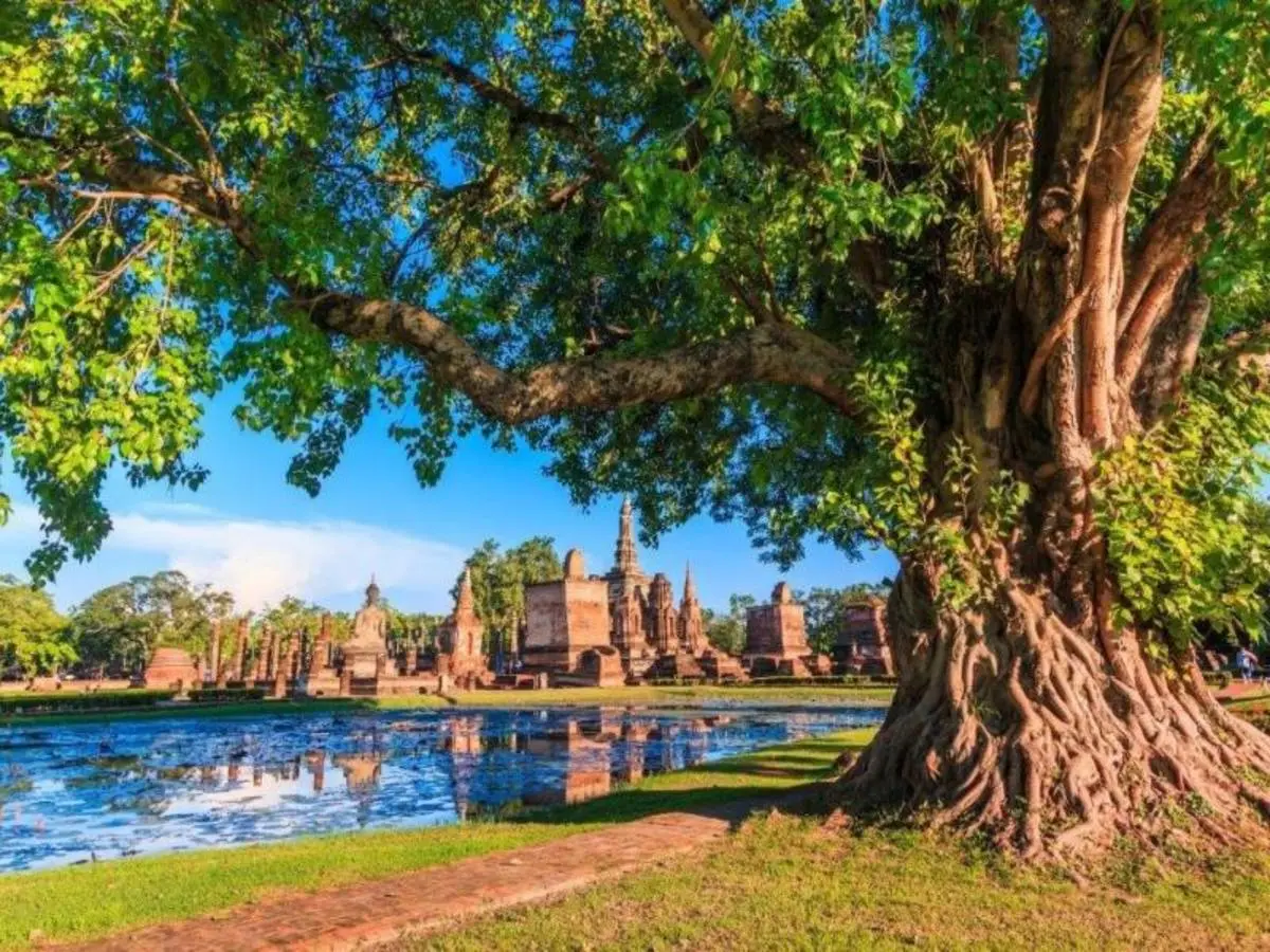 Sentieri e gemme del Siam, tour privato