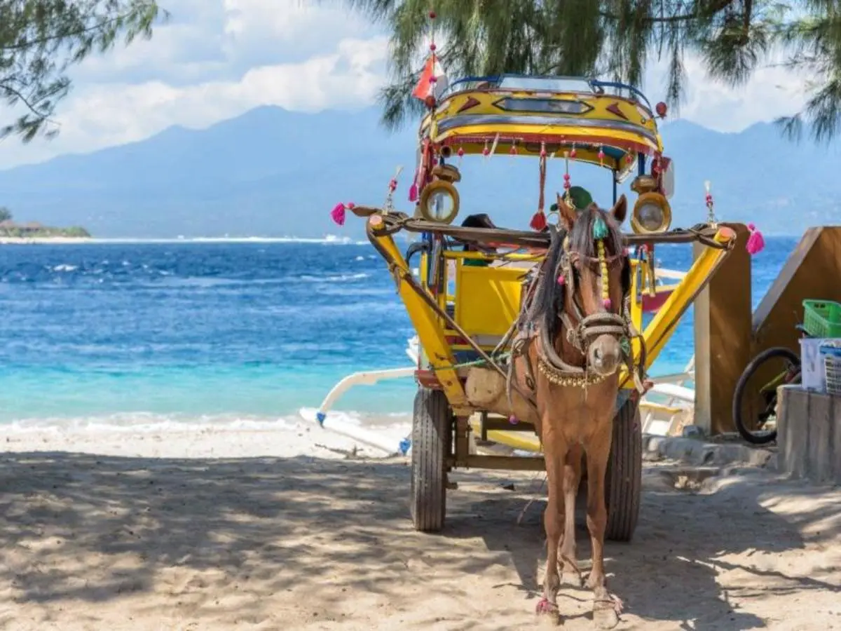 Bali & Gili Highlight, Private Tour