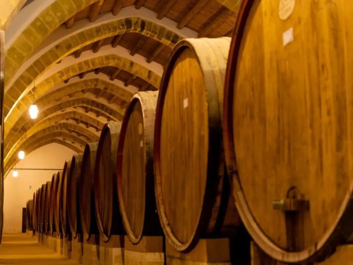 Le Dolomiti e il Prosecco, Self-Drive