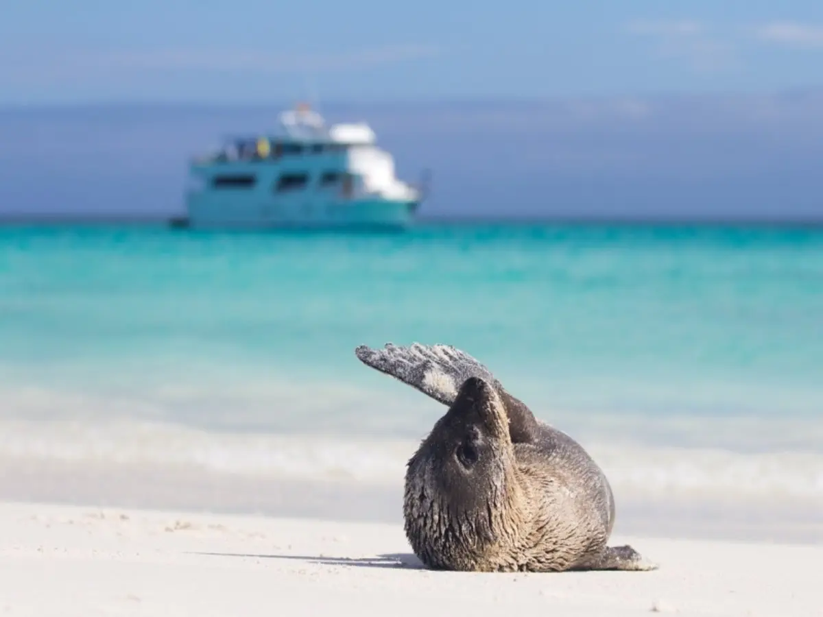 Andes & Galapagos (Multi country)