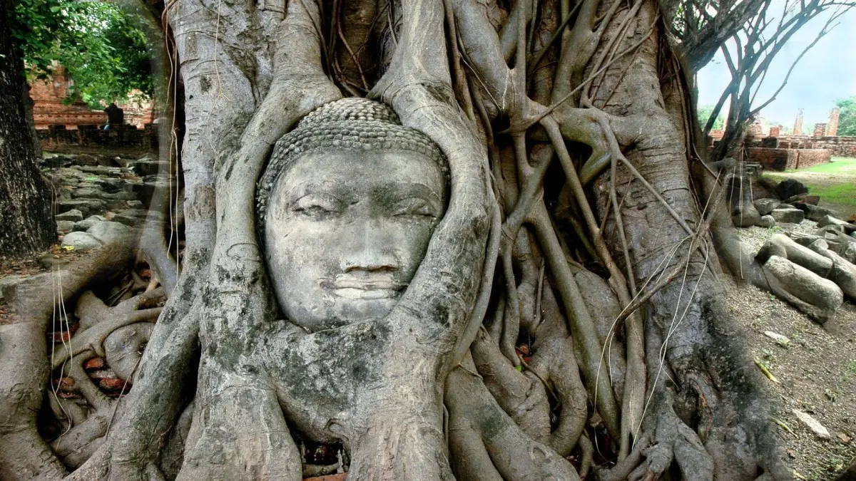 5 Days Thai Wonders
