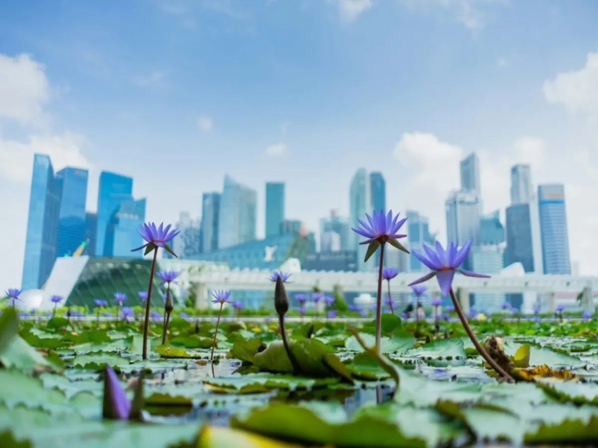 Combiné Singapour Japon