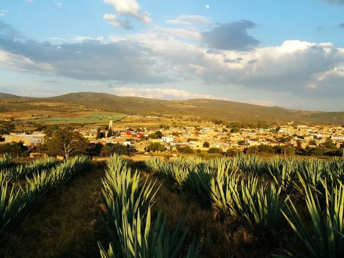 Tour Tequila & Mariachis