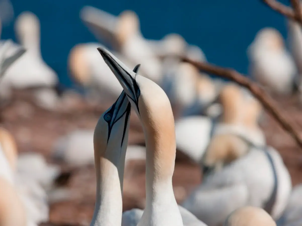 Le Québec Côté Mer