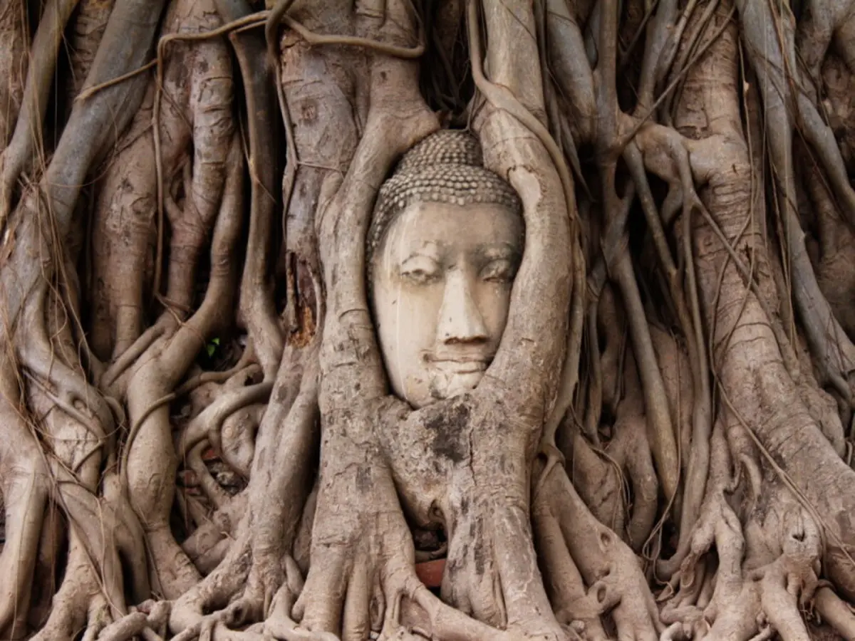 Perlas de Tailandia - 8D/7N - 2026