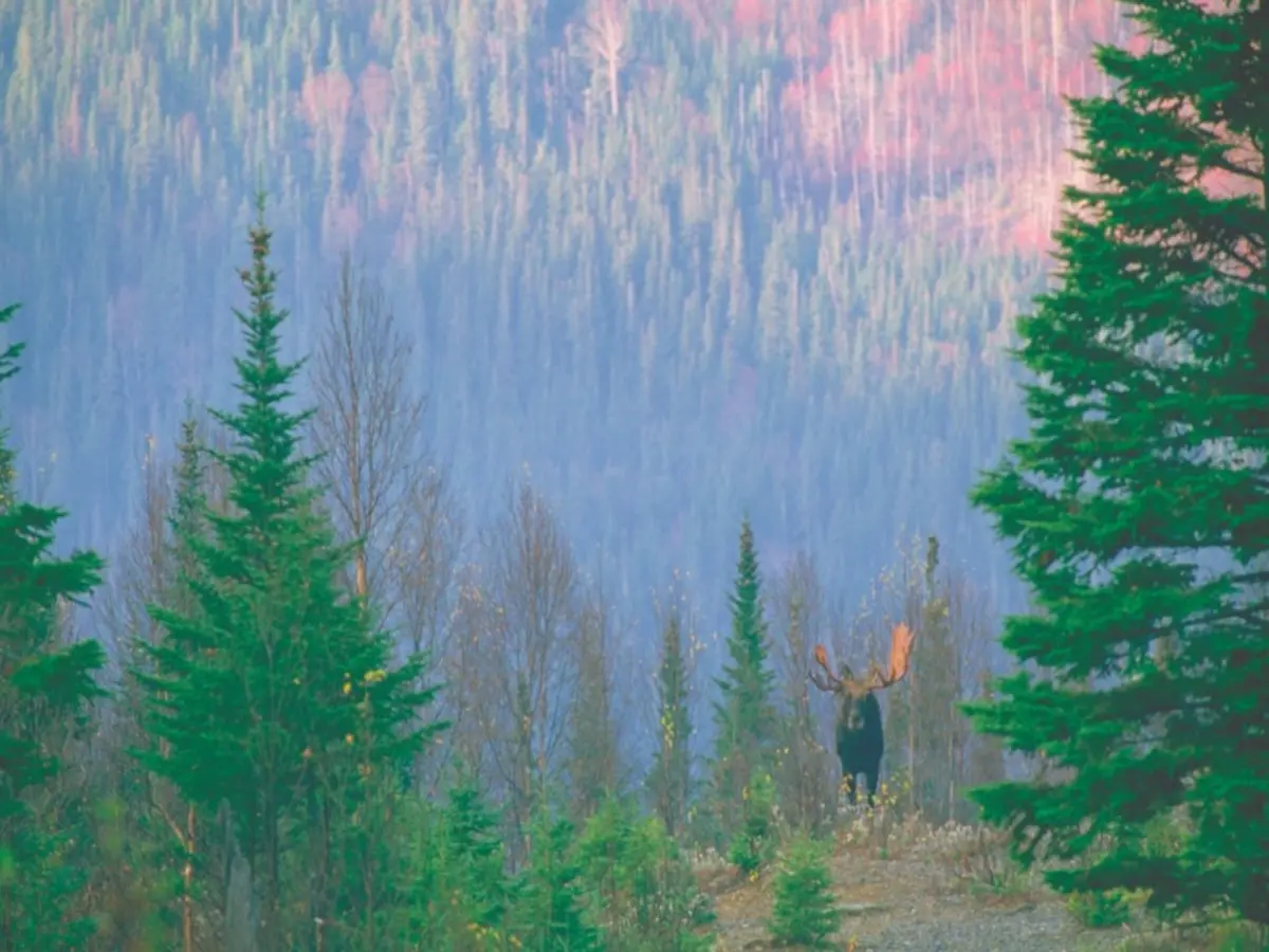 Le Québec Côté Mer