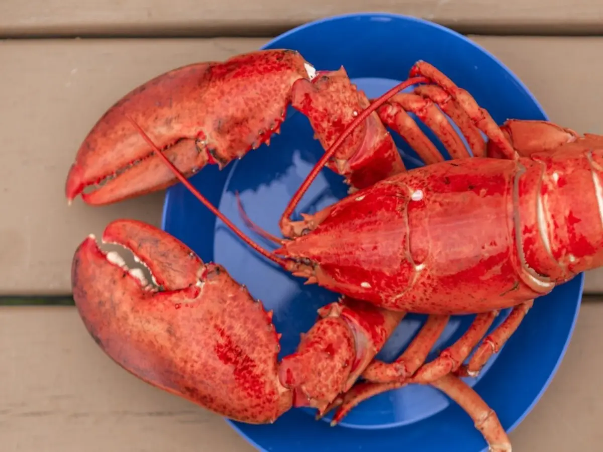 Le Québec Côté Mer