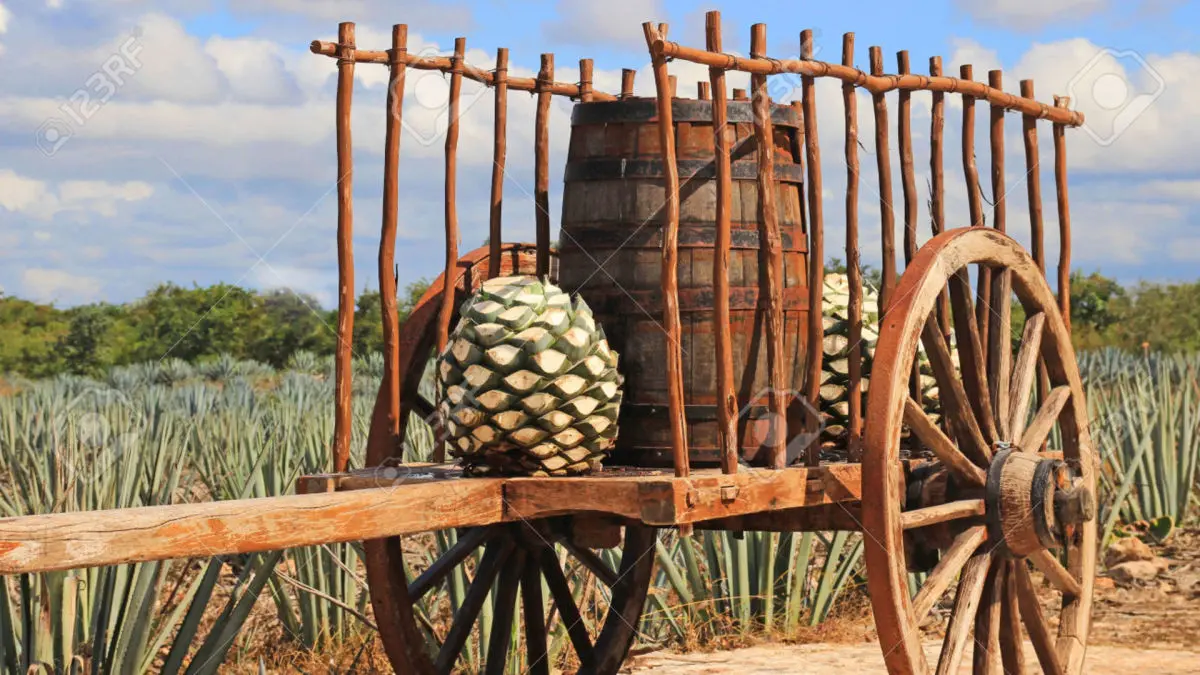 Tour Tequila & Mariachis
