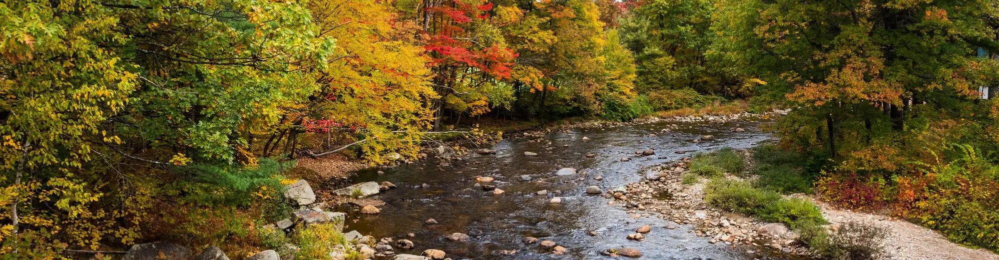 Jackson NH, Stati Uniti d'America