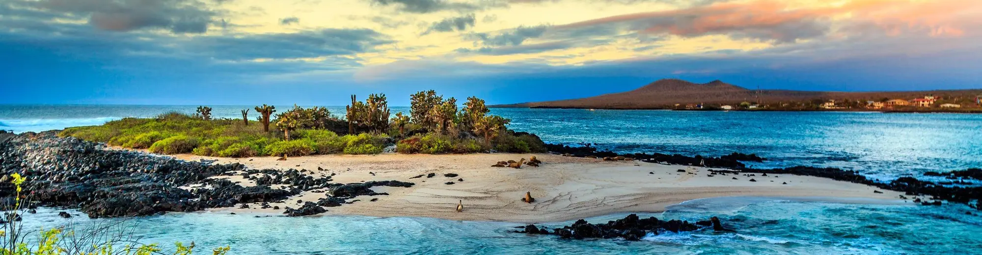 Eiland Isabela, Galápagoseilanden, Ecuador