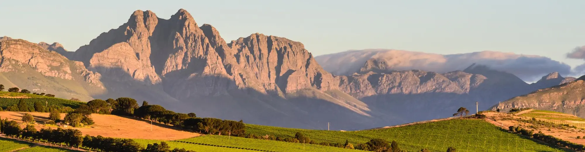 Denver Uvero Alto, Güney Afrika