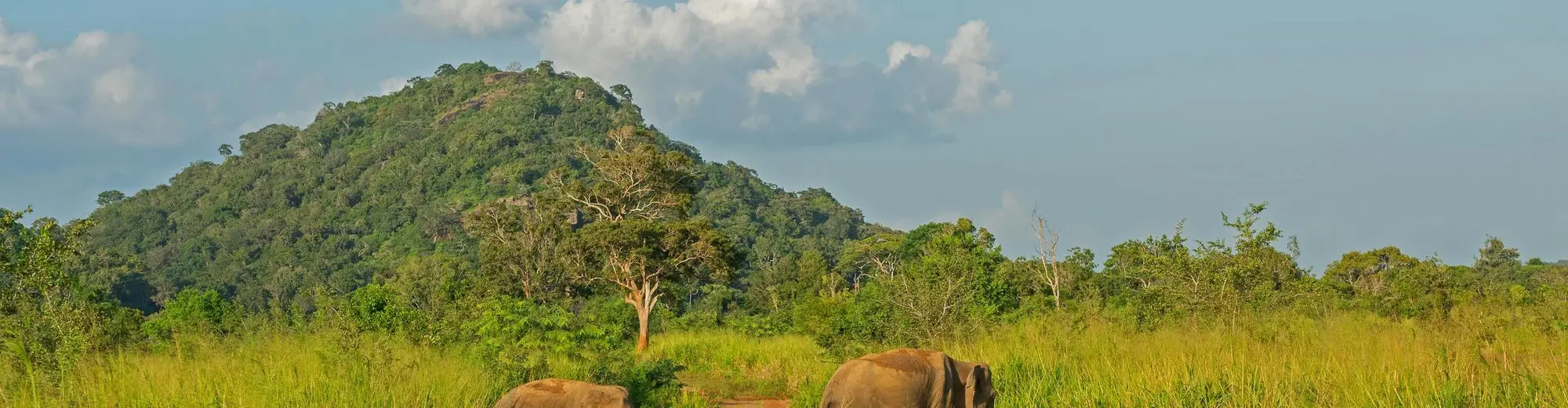 Habarana, Sri Lanka