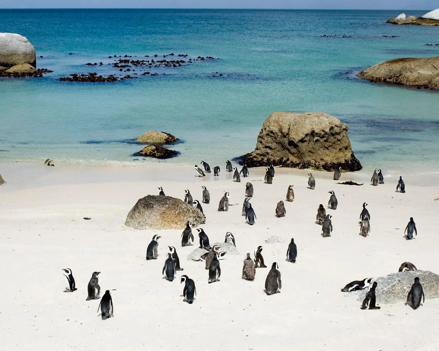 Boulders Beach, Etelä-Afrikka