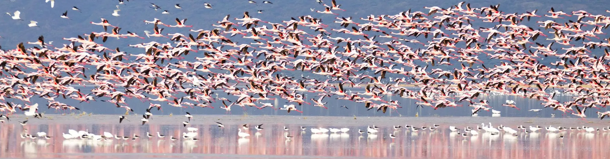 Lago Manyara, Tanzânia