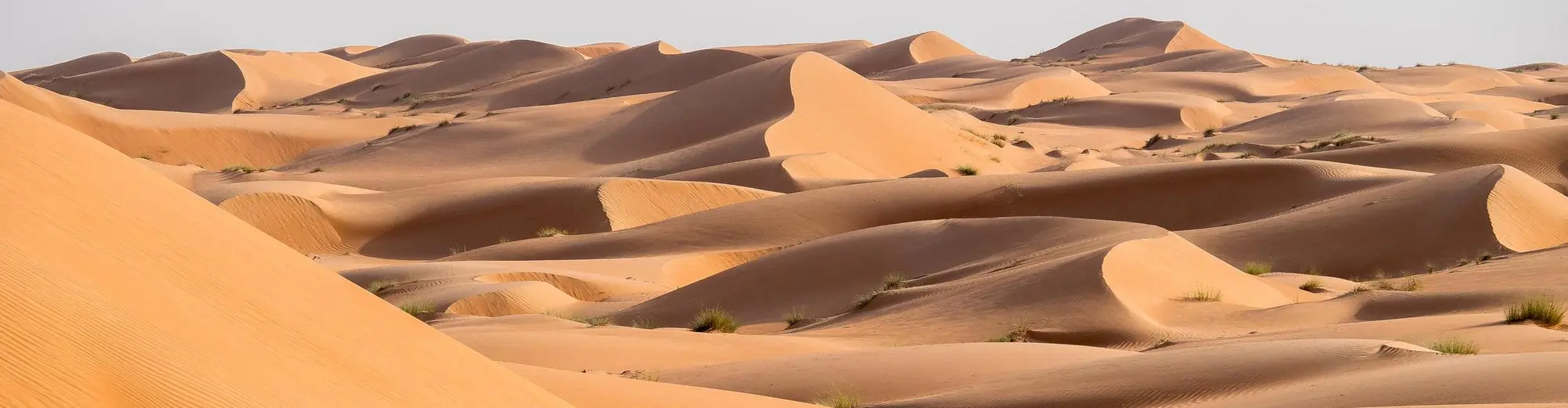 Wahiba Sands, オマーン