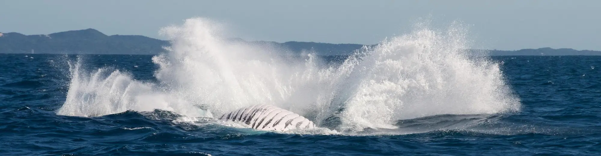 اينياكا, موزامبيق
