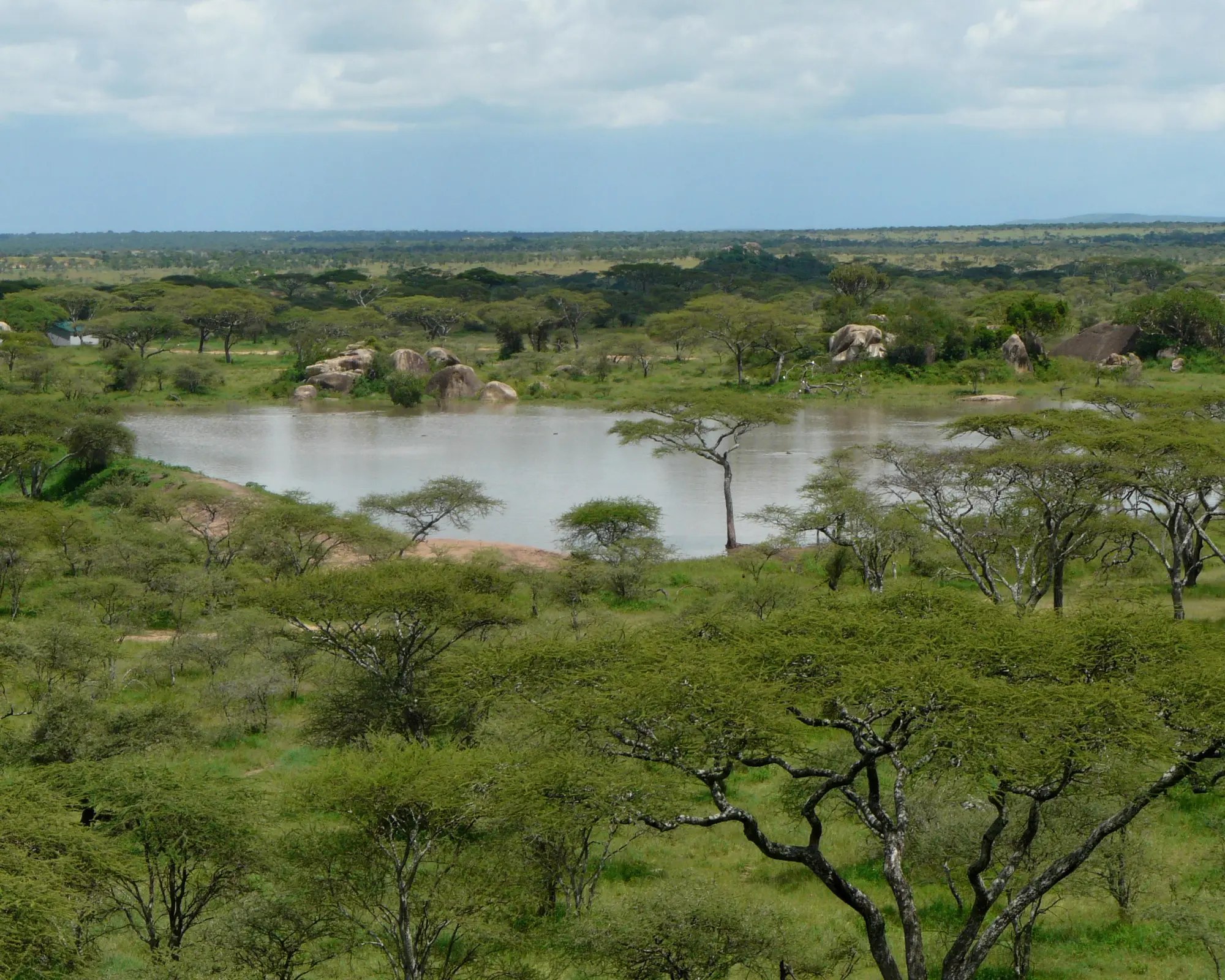 Seronera (Serengeti), Tanzanie