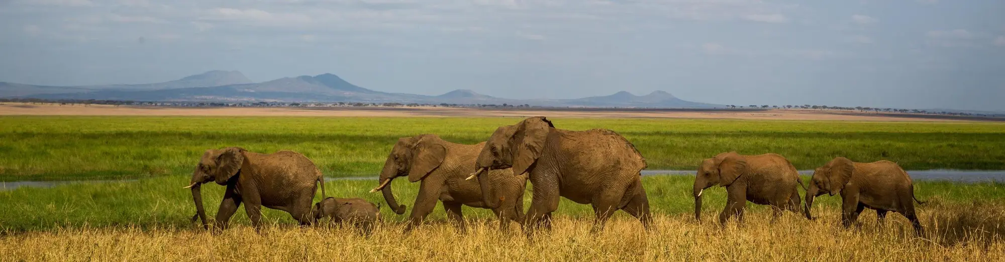 Parque Nacional de Tarangire, Tanzânia