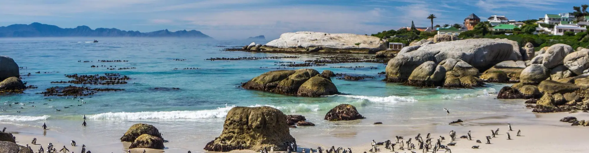 Boulders Beach, Etelä-Afrikka