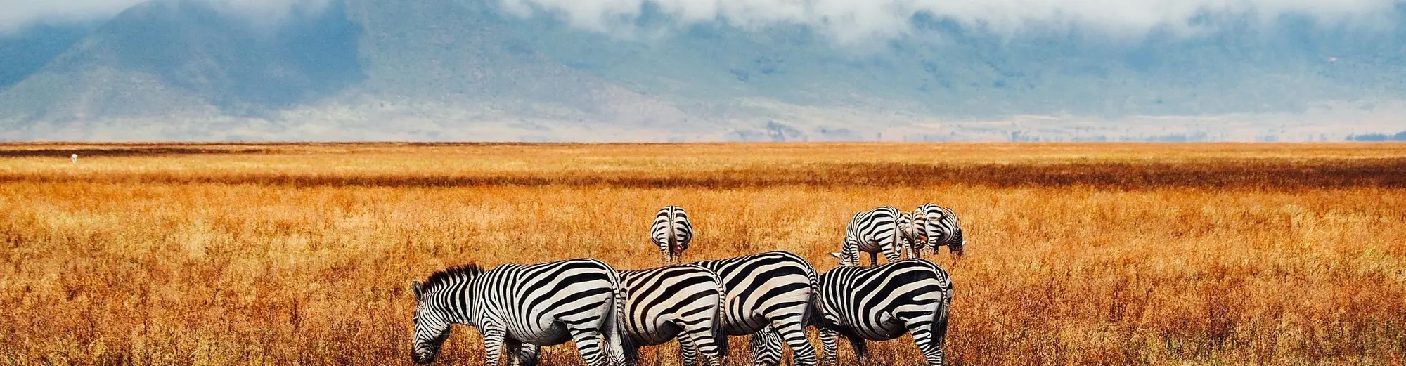 Ngorongoro, Tanzânia