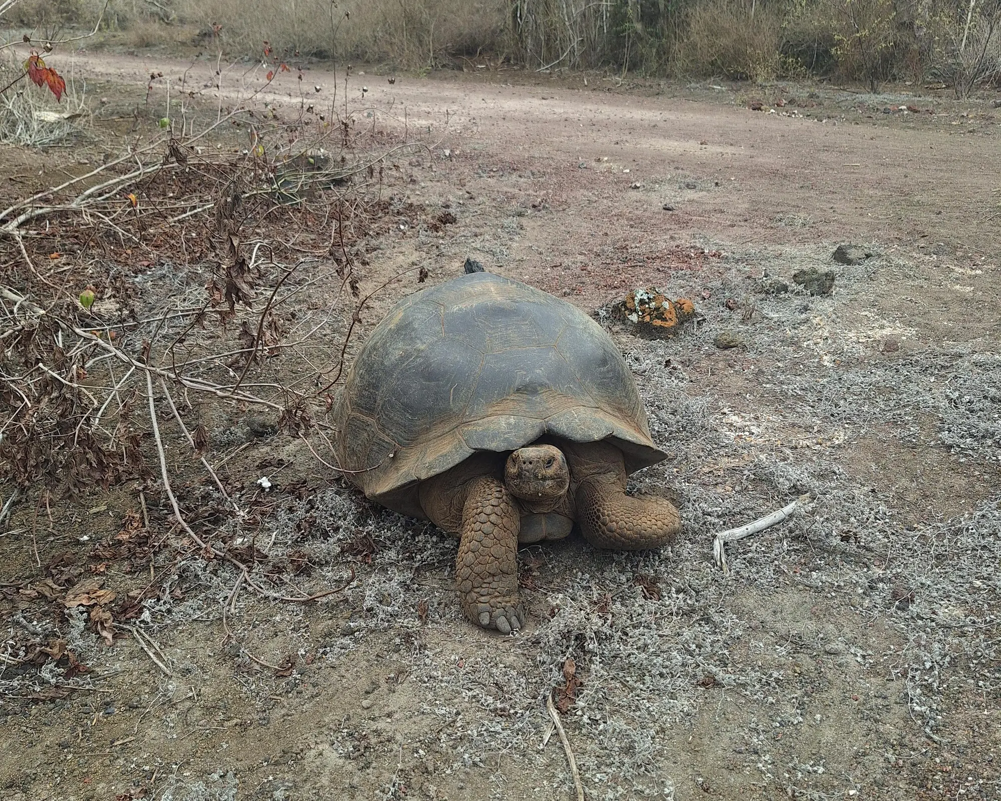 Full Galapagos Island / 9 days