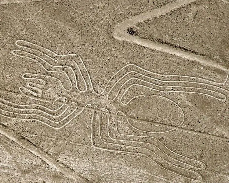 Enigmatic Nasca 02 Days / 01 Night
