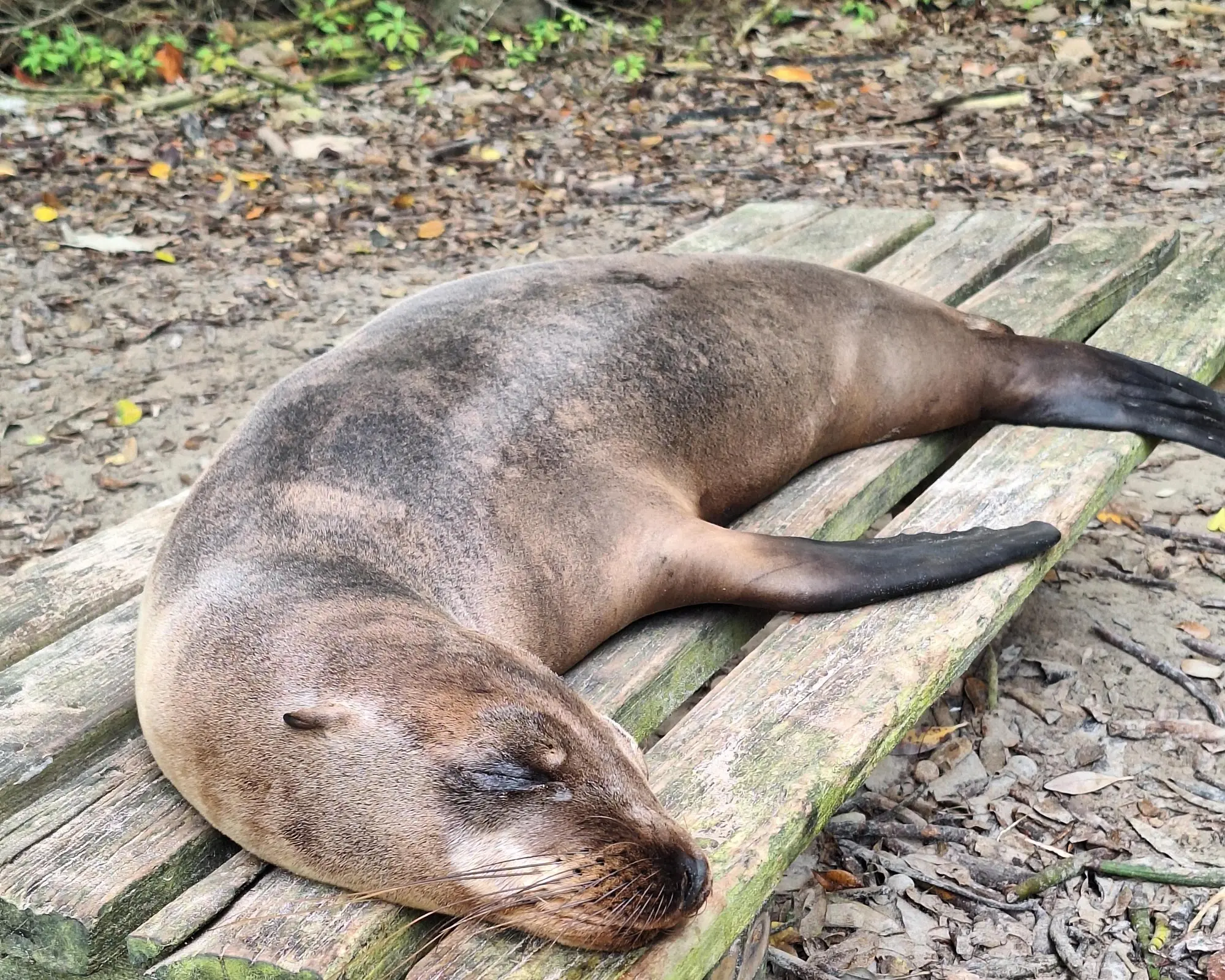 Full Galapagos Island / 9 days