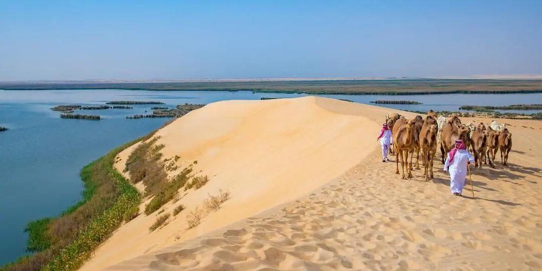 DAY 2: Al AHSA – RIYADH ( 300 km )                                                                                                                                                    (B,L)