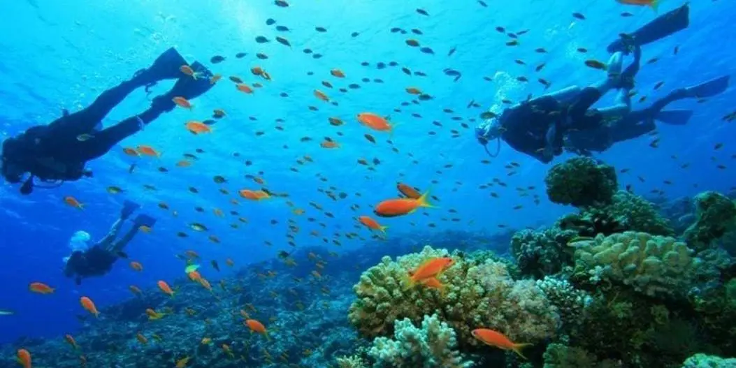 DAY 02: DIVING IN DAMANIYAT ISLAND – EVENING TOUR OF MUSCAT