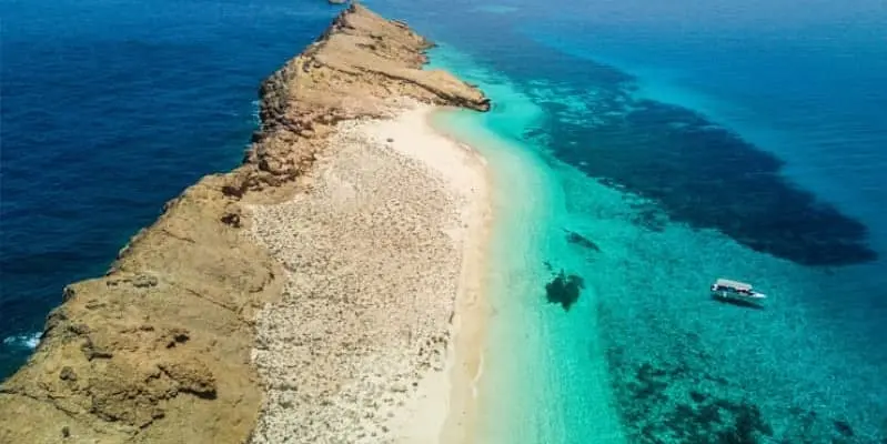 DAY 08 | TRIP TO DAMANIYAT ISLAND​