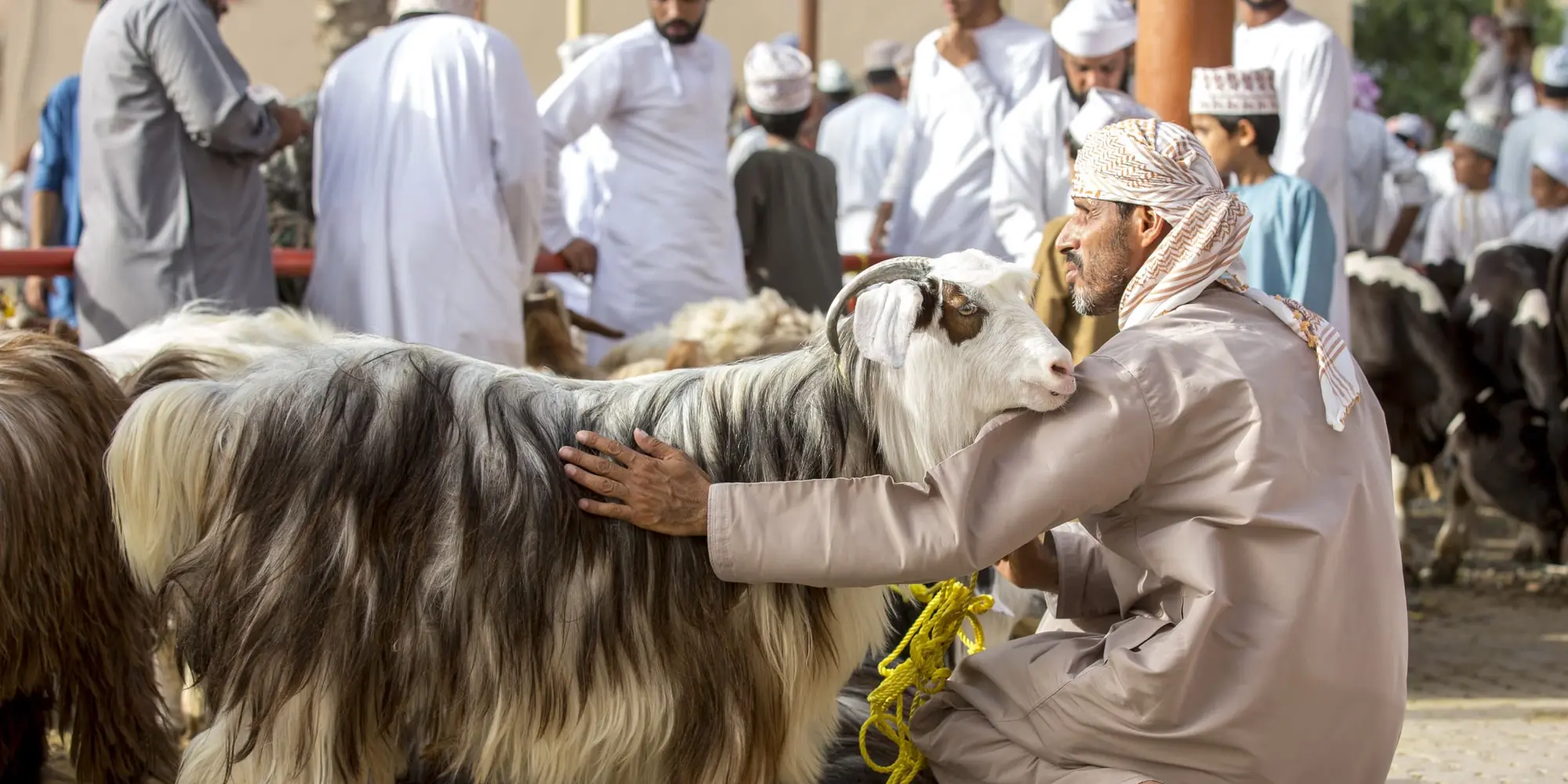 DAY 05 | NIZWA – JABAL AKDHAR – NIZWA (4WD) (1.5 hrs. drive – both ways) ​