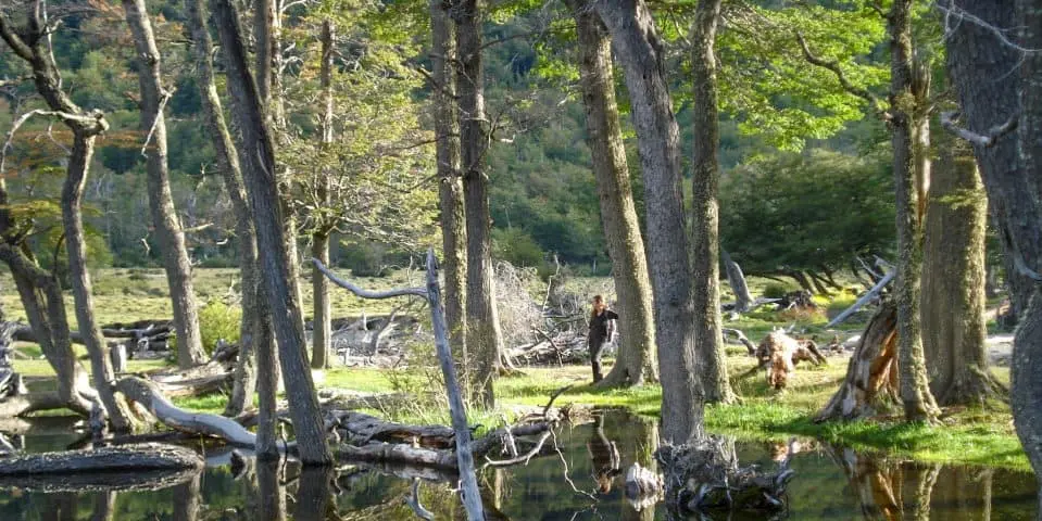 Day 13 - Adventure and Nature in Tierra del Fuego: Explore the End of the World