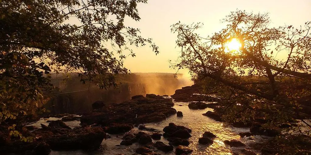 Jour 5 : Le parc national Kruger (+/- 60 km dans la journée selon observation animalière)