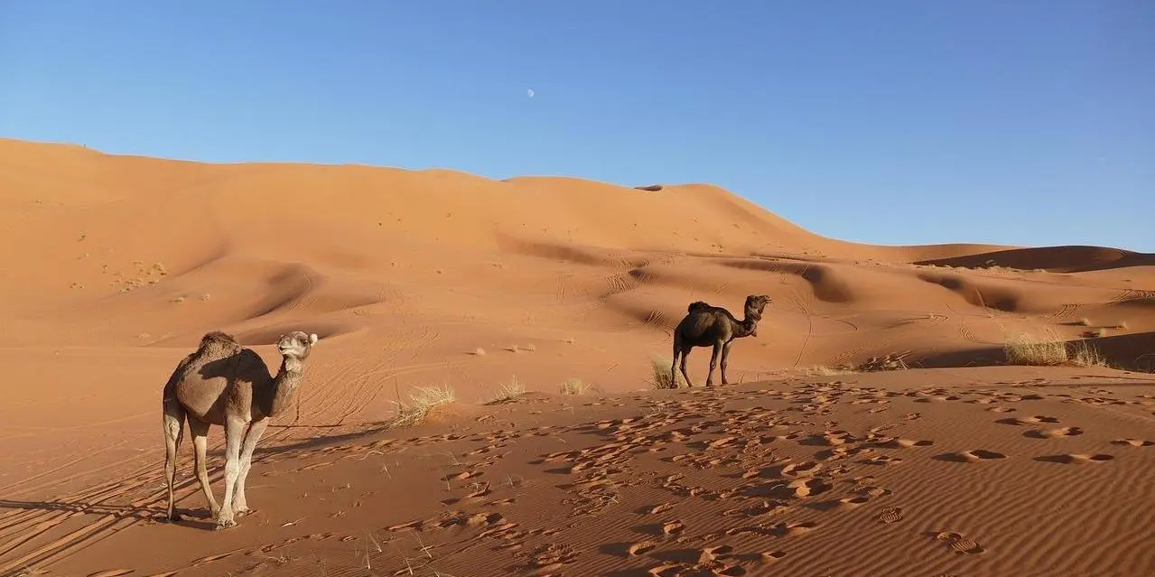 Jour 4: Zagora – Alnif - Merzouga