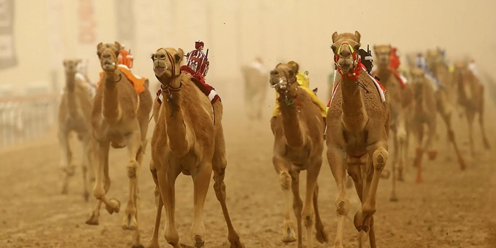 DAY 4: WEDNESDAY :ABU DHABI – AL AIN (150 km) ( B,L,D )