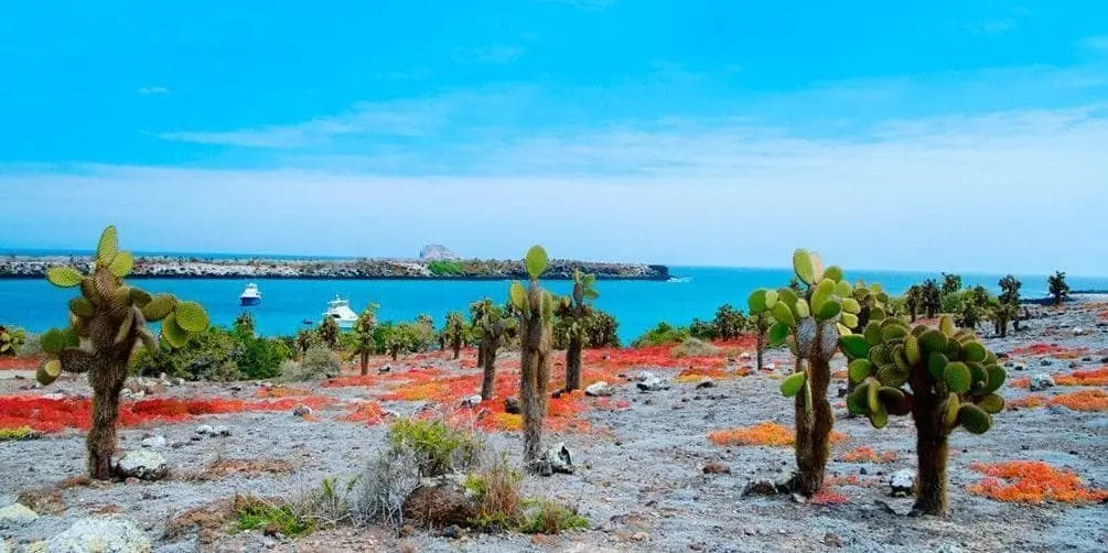DAY 3 • SANTA CRUZ ISLAND