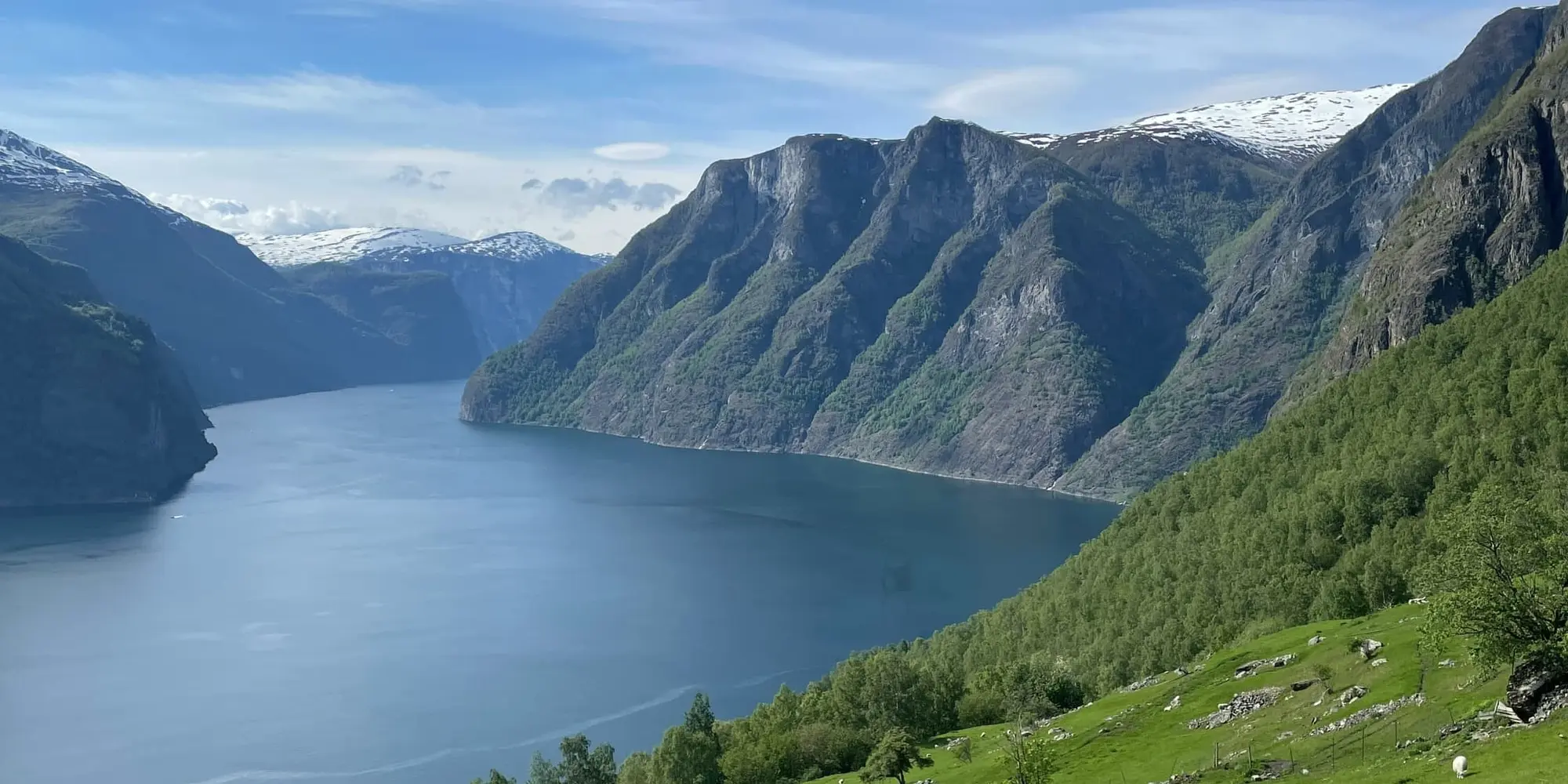 GIORNO 3: OSLO – FLÅM - SOGNEFJORD