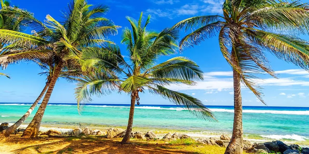 Day 8. SAN ANDRÉS – Special tour of the island   