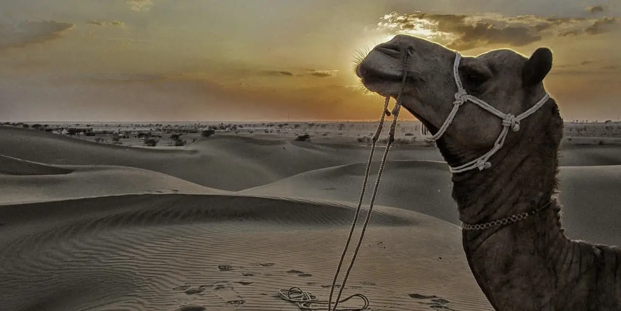 Giorno 5: JAISALMER