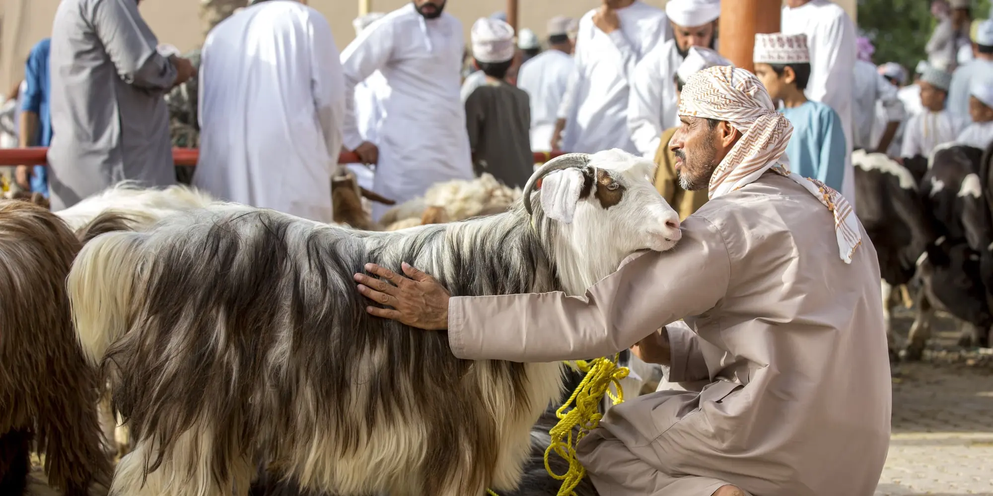 DAY 07 | NIZWA – MUSCAT (2 hrs. drive)​