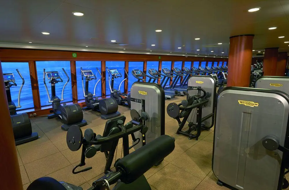 Norwegian Gem