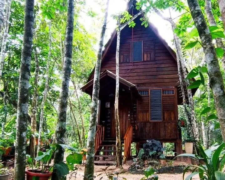 Hotel Ecolodge Makalombia