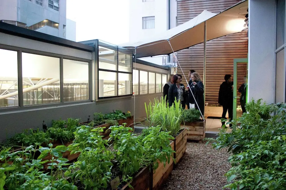 DoubleTree by Hilton Cape Town - Upper Eastside